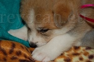 15 ja fakt ale nesmrdím.jpg